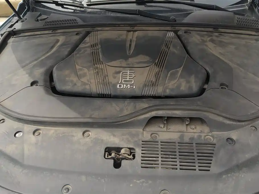 BYD Tang New Energy 2023 Model DM-i Champion Edition 112KM Premium фото 10