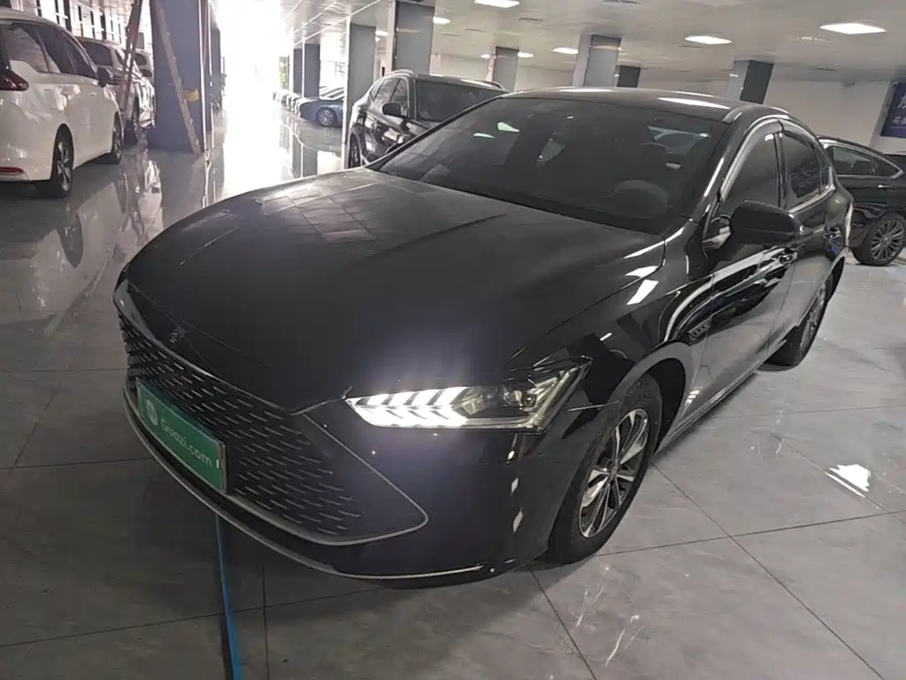 BYD Qin PLUS 2024 Glory Edition DM-i 55KM Leading