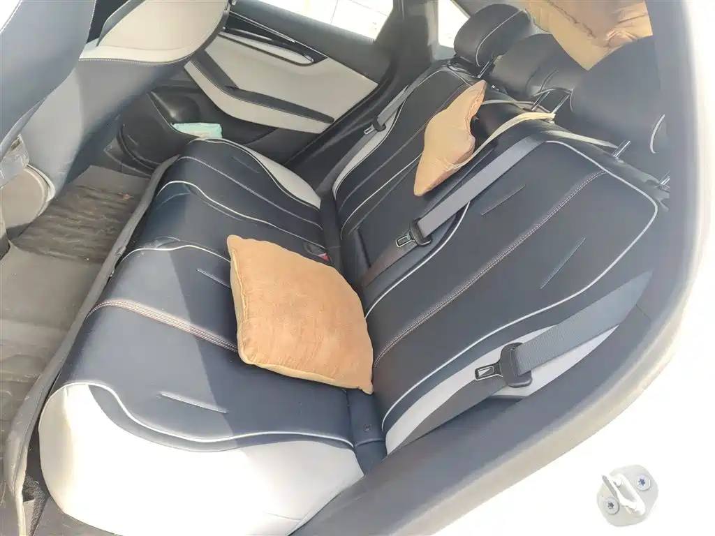 BYD Qin PLUS 2021 DM-i 55KM Flagship фото 15