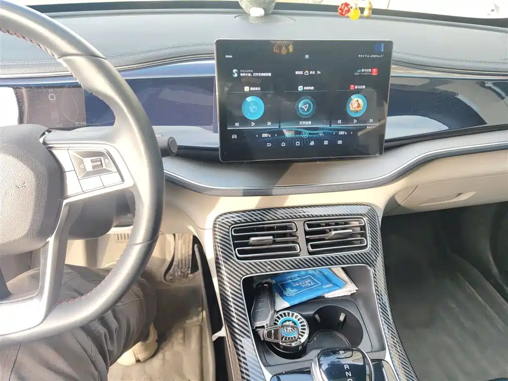 BYD Qin PLUS 2021 DM-i 55KM Flagship фото 6