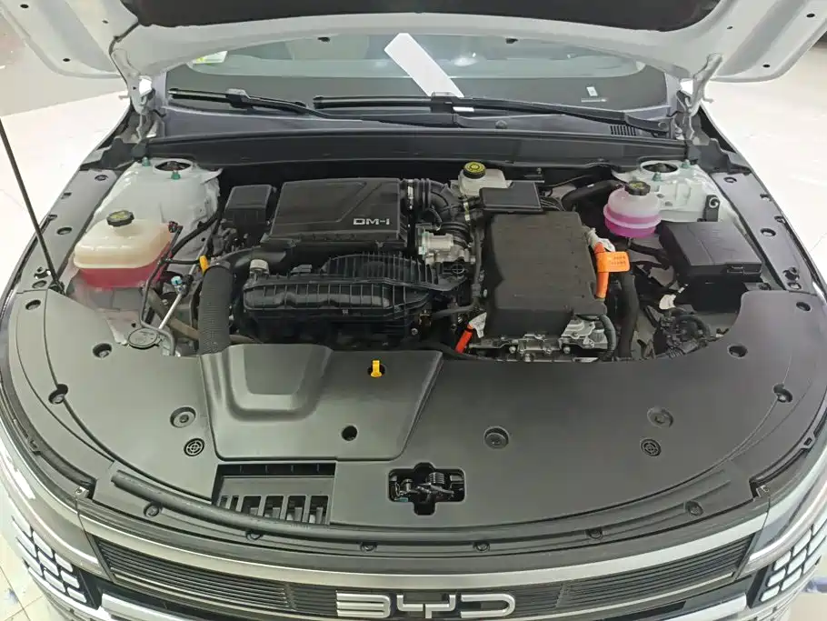 BYD Destroyer 05 2024 2023 Champion Edition DM-i 55KM Luxury