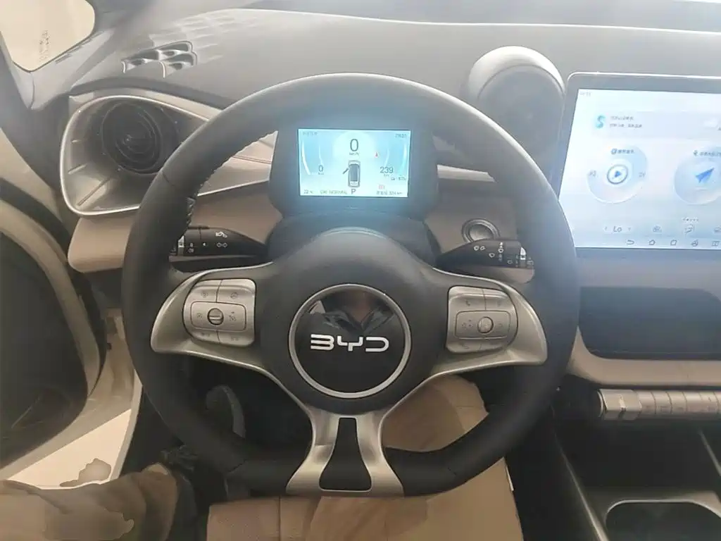 BYD Dolphin 2026 2025 420km Freedom Edition