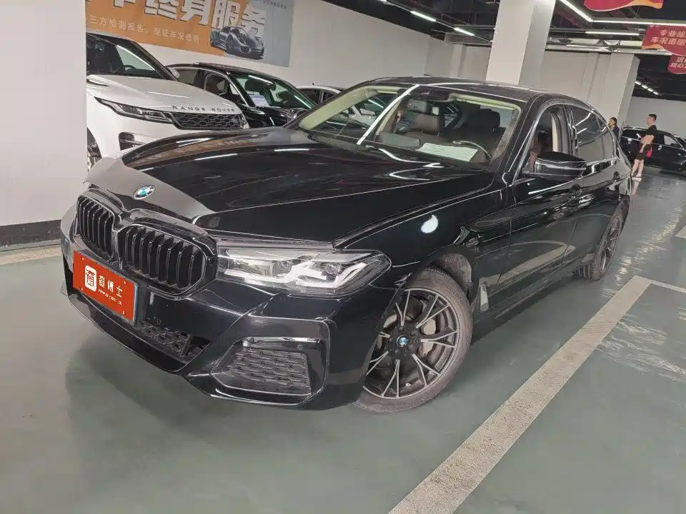 BMW 5 Series 2021 530Li Leading Luxury Package