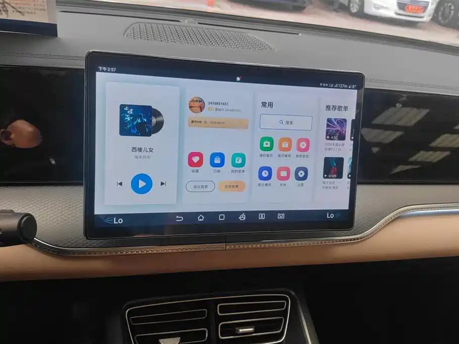 BYD Song Pro New Energy 2025 2nd Gen DM-i 75KM Surpass фото 13