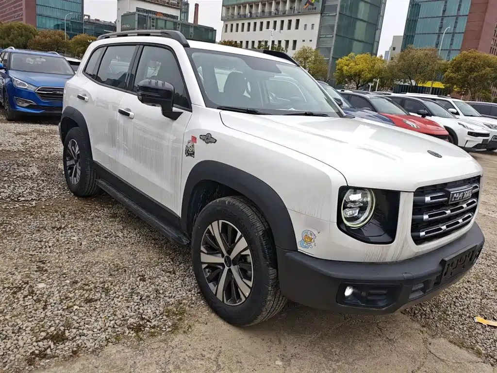Фото 4 - Haval Dargo