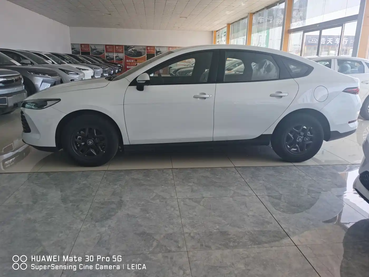 BYD Qin PLUS 2026 DM-i 128KM Progressive фото 3