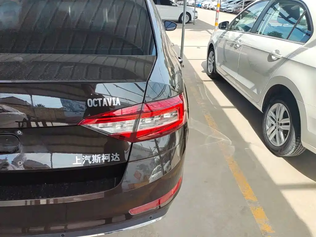 Škoda Octavia 2018 TSI280 DSG Luxury Edition фото 8