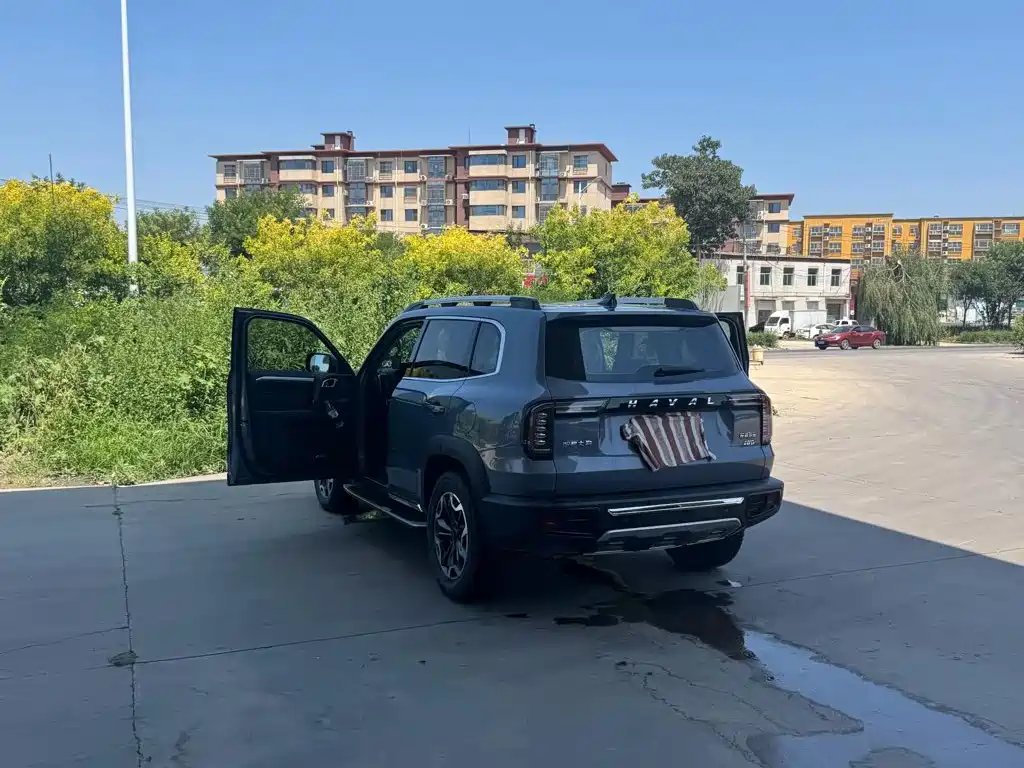 Haval Dargo 2021 2021 2.0T DCT AWD Howling Celestial Dog Edition