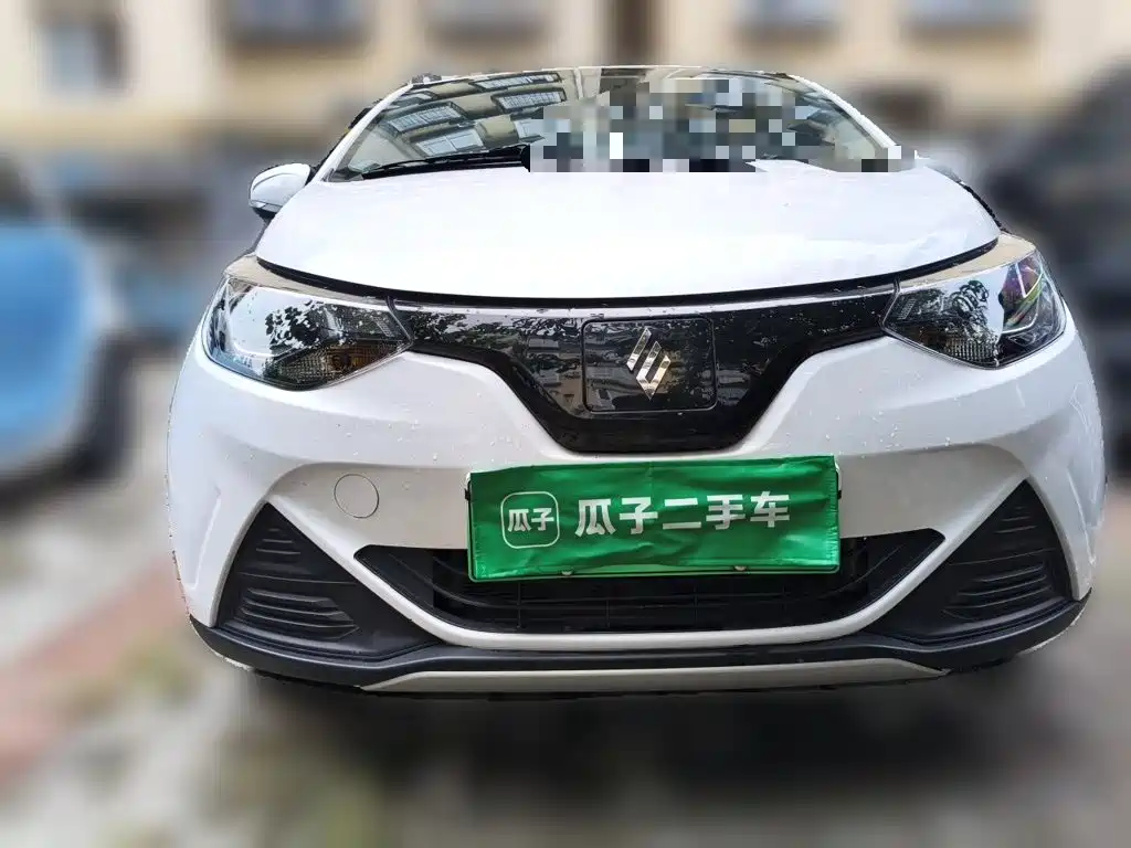 JMCG New Energy Little Kirin 2024 2023 Model Lucky Edition 201km Comfort
