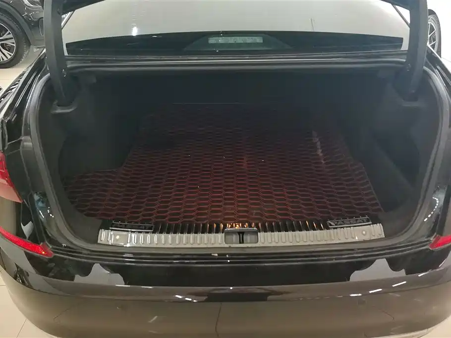 Volkswagen Passat 2019 330TSI Luxury Edition China VI фото 4