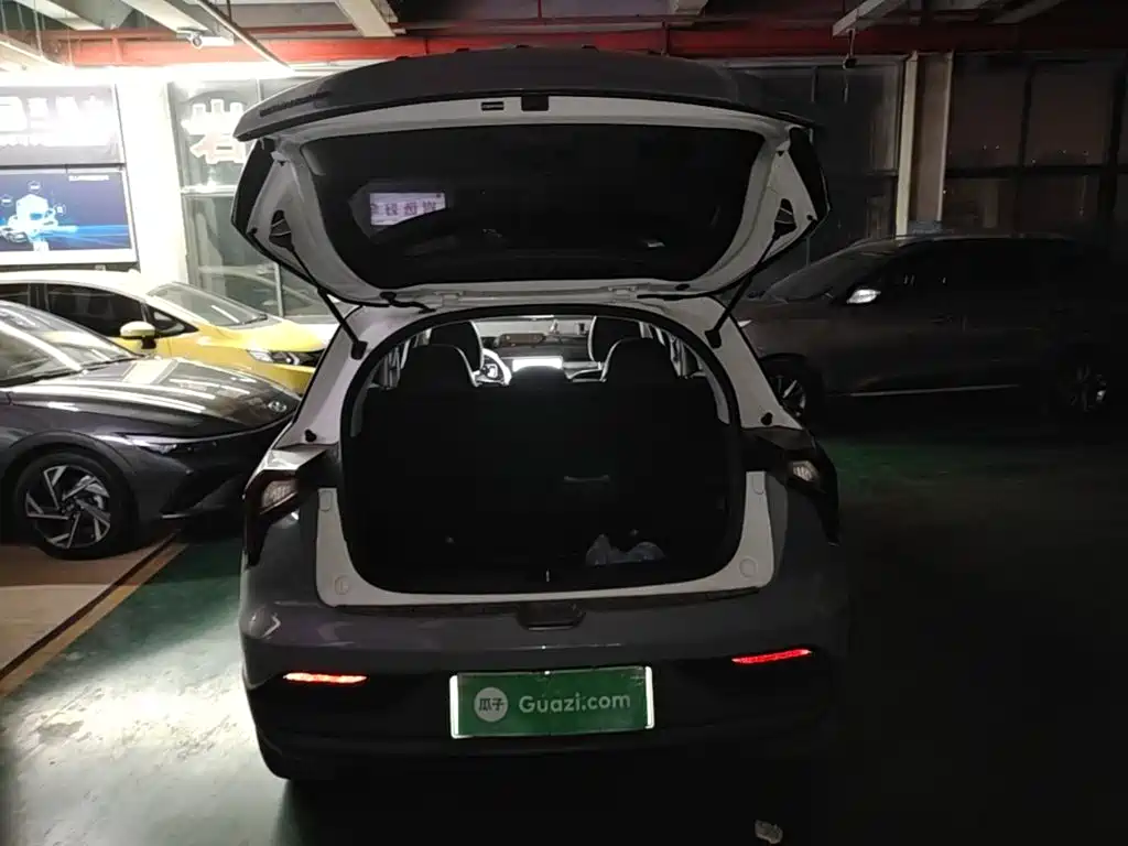 Geely Geometry E Firefly 2024 2024 Model 301km Starlight