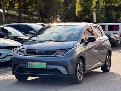 BYD Dolphin