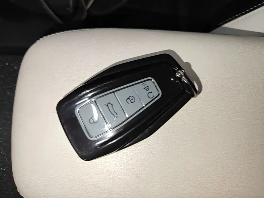 Geely Geometry E Firefly 2024 2024 Model 301km Starlight