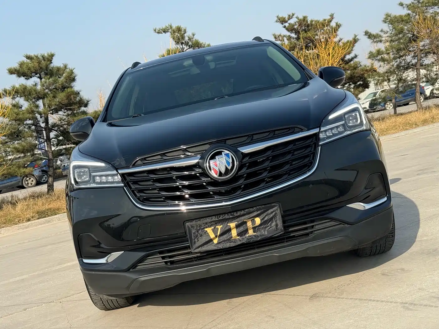 Buick Envision Plus 2020 20T FWD Leading фото 4