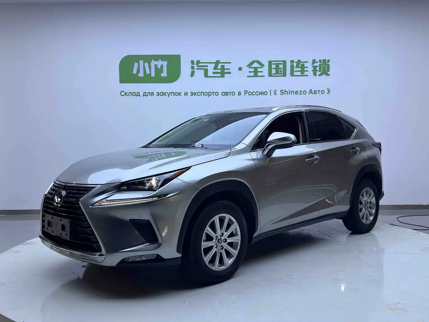 Lexus NX 2020 200 AWD F Sport China V