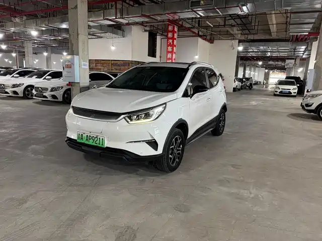 BYD Yuan Pro 401KM, Премиум