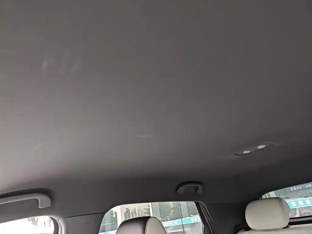 BYD Dolphin 2024 Glory Edition 420km Freedom Edition фото 18