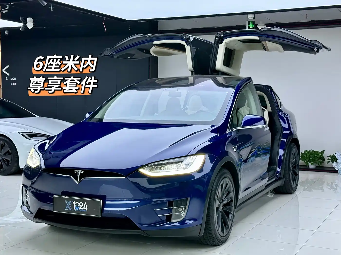 Фото 1 - Tesla Model X