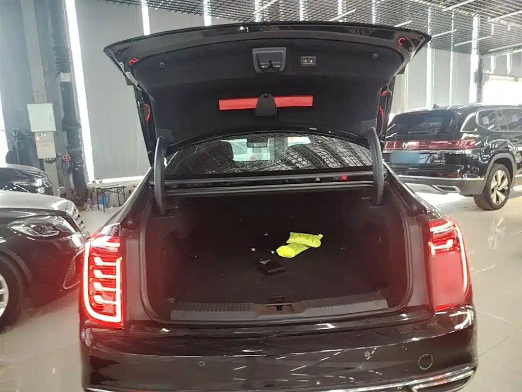 Hongqi H9 2020 2.0T Smart Connection Qi Chang Edition фото 15