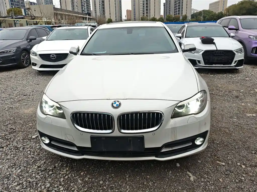 BMW 5 Series (Import) 2015 520i Elegance фото 3