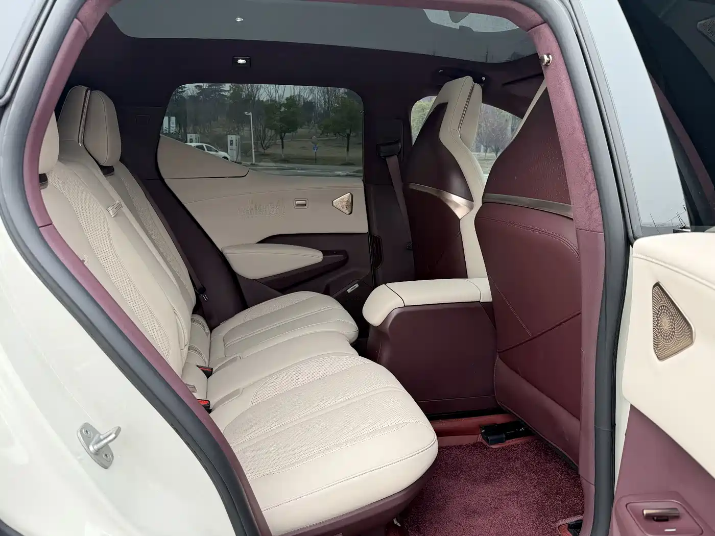 ZEEKR EXTREME KRYPTON X