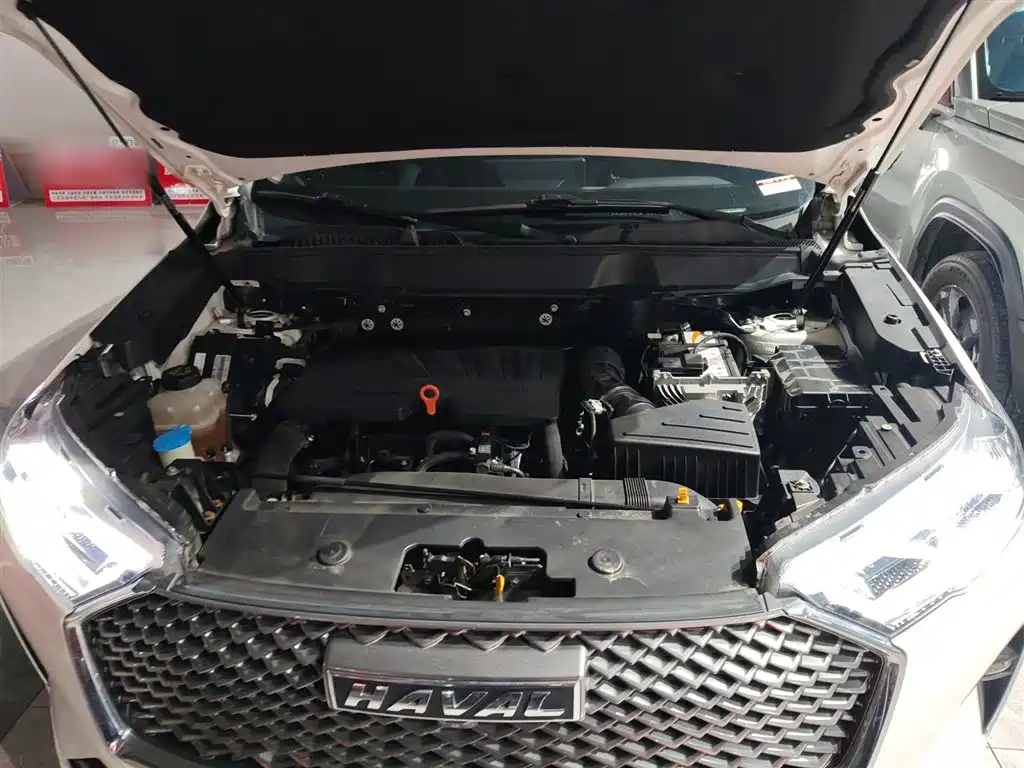 Haval H6 2021 3rd Gen 1.5T Auto 2WD Pro фото 20