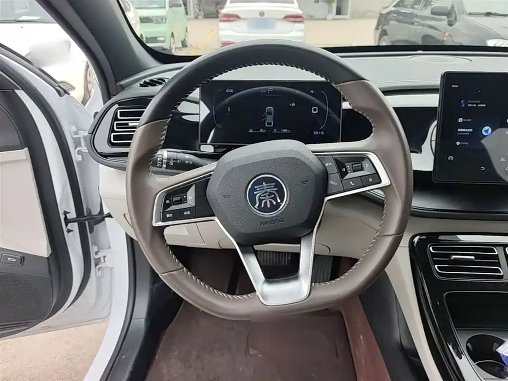BYD Qin PLUS 2023 Champion Edition DM-i 55KM Leading фото 11