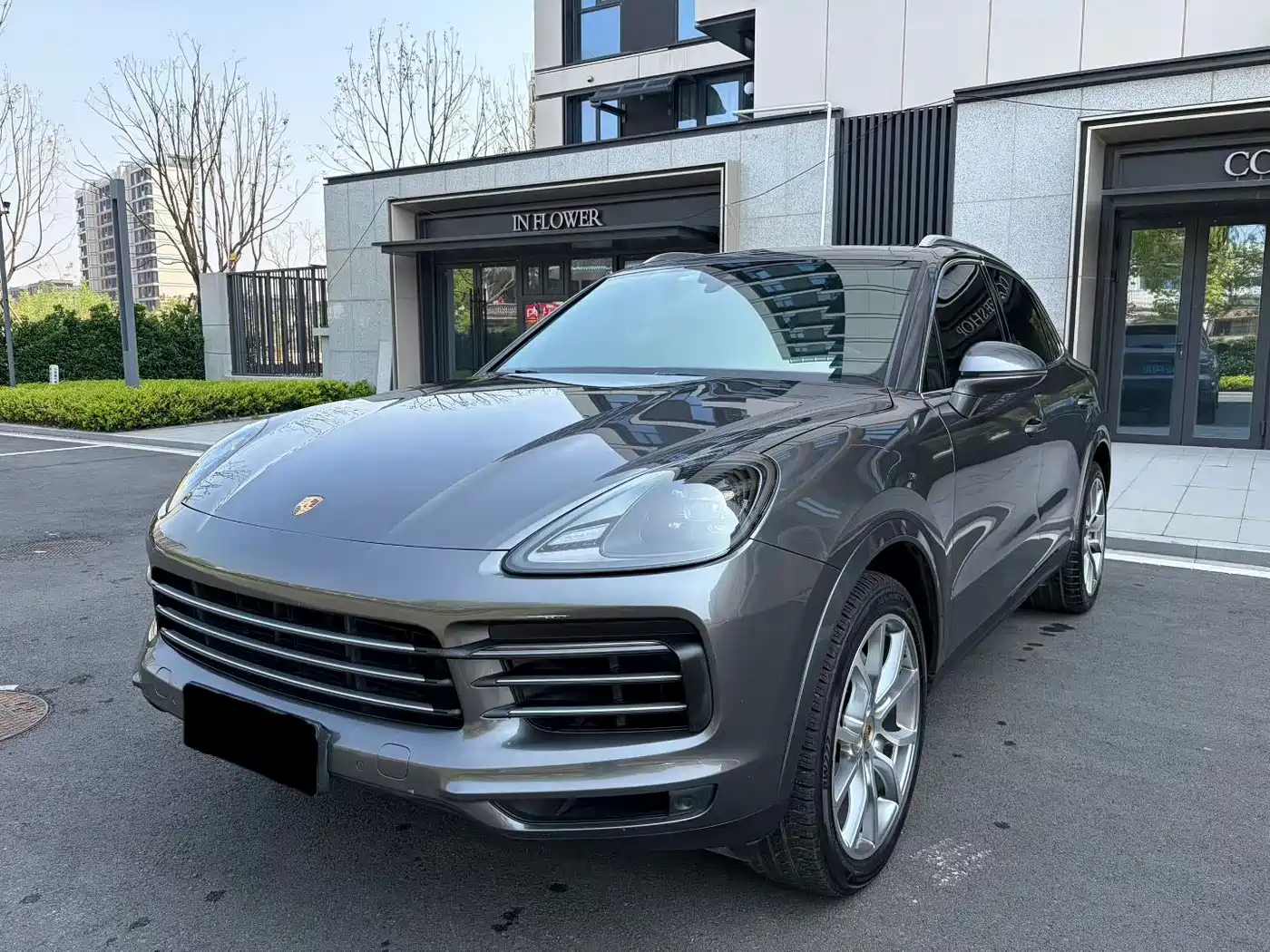 Porsche Cayenne 2019 Cayenne 3.0T фото 3