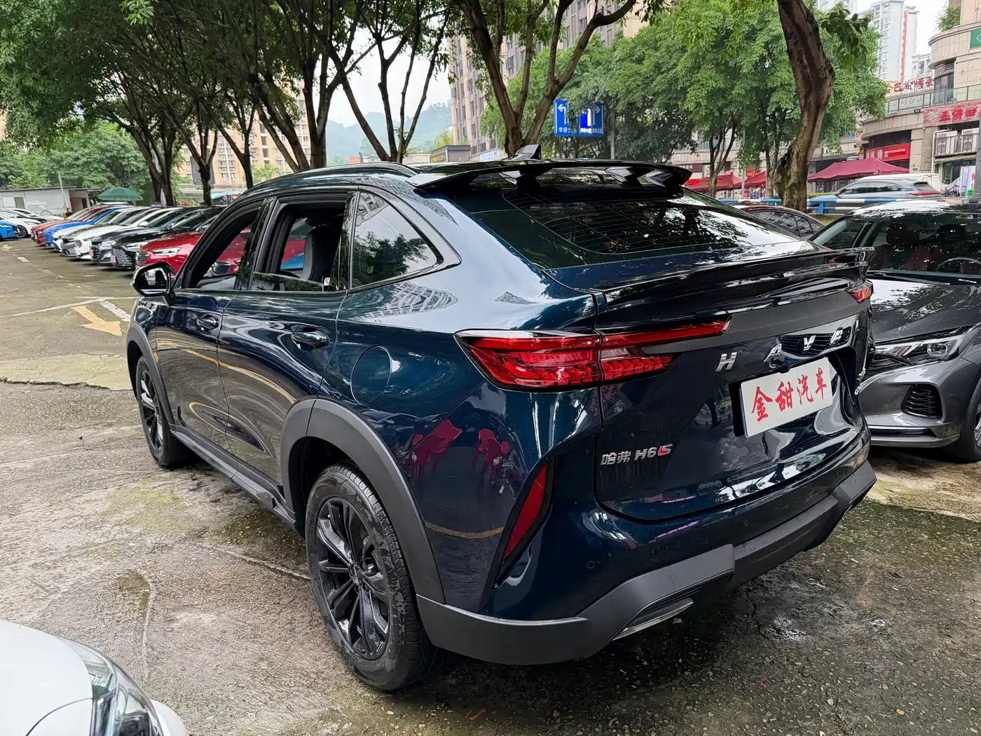 Haval H6S 2022 Model 2.0T 2WD Smart Run Edition фото 6
