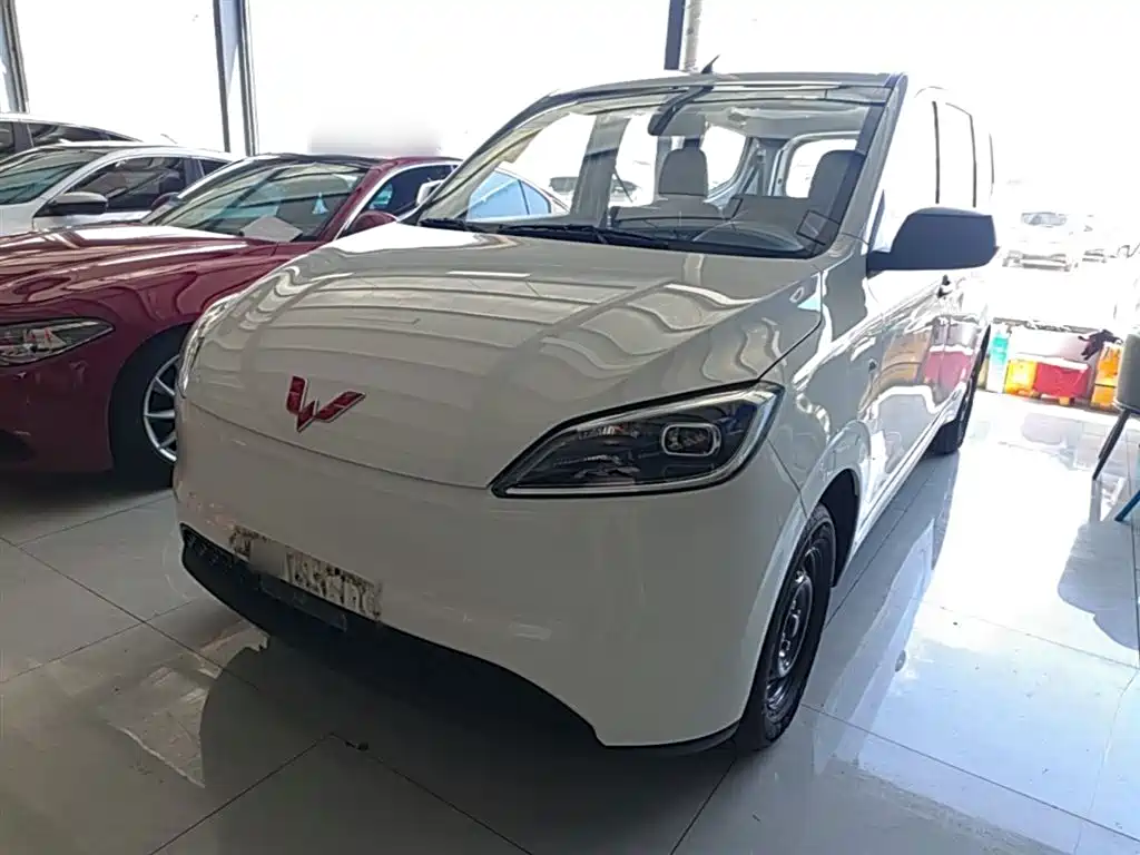 Wuling Motors Wuling Hongguang New Energy 2024 Pure Electric 300KM Standard