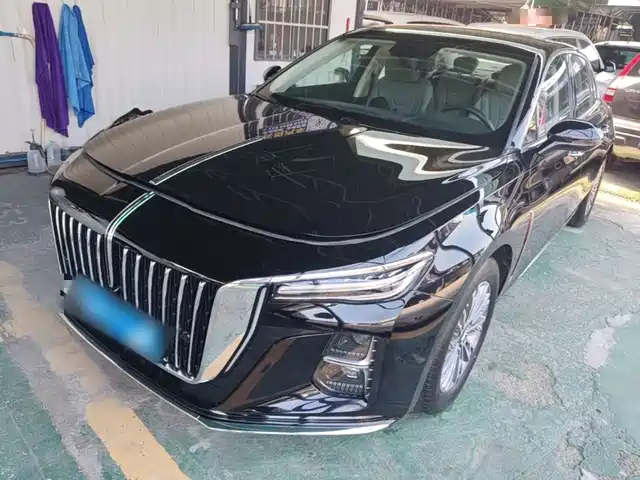 Hongqi H5 1.5T DCT, коннект