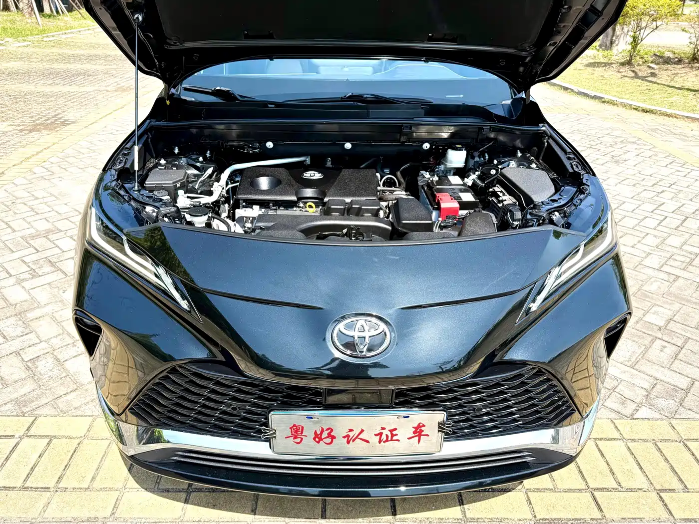 Toyota Venza 2023 2023 2.0L CVT FWD Premium