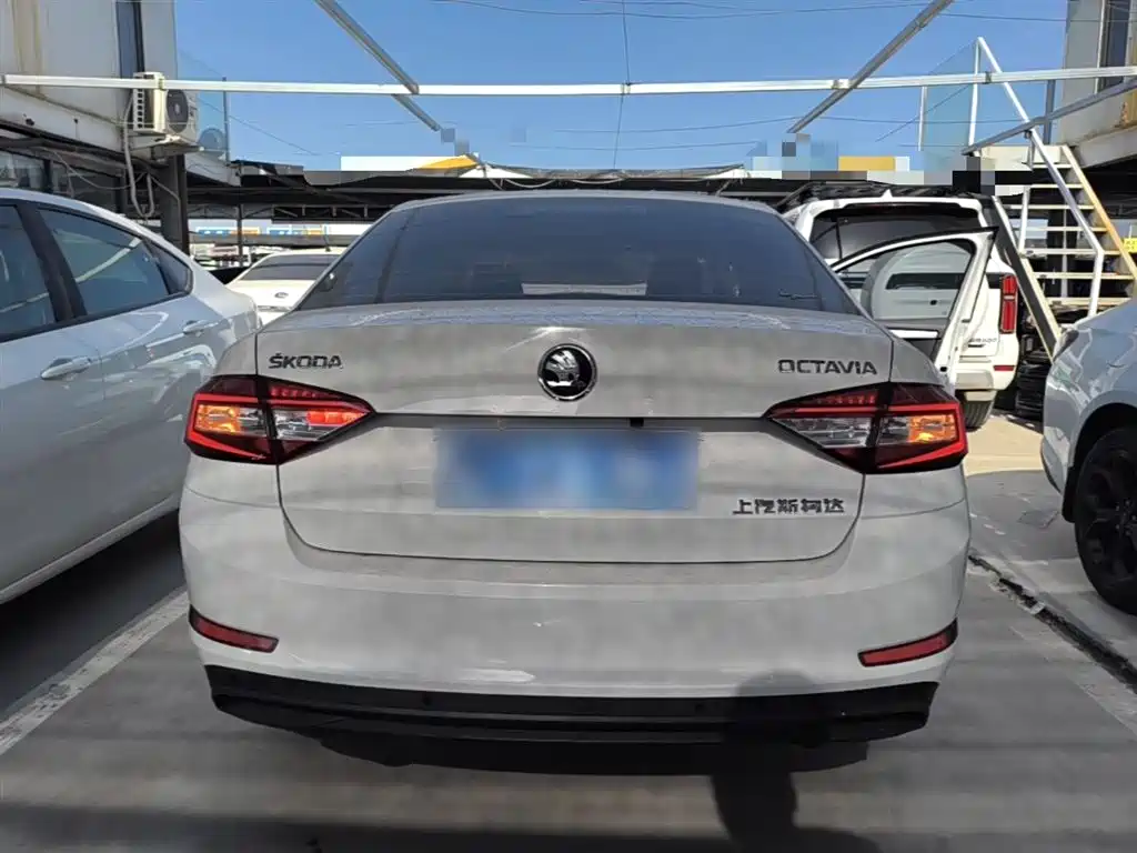 Škoda Octavia 2019 1.5L Auto Comfort Edition фото 6