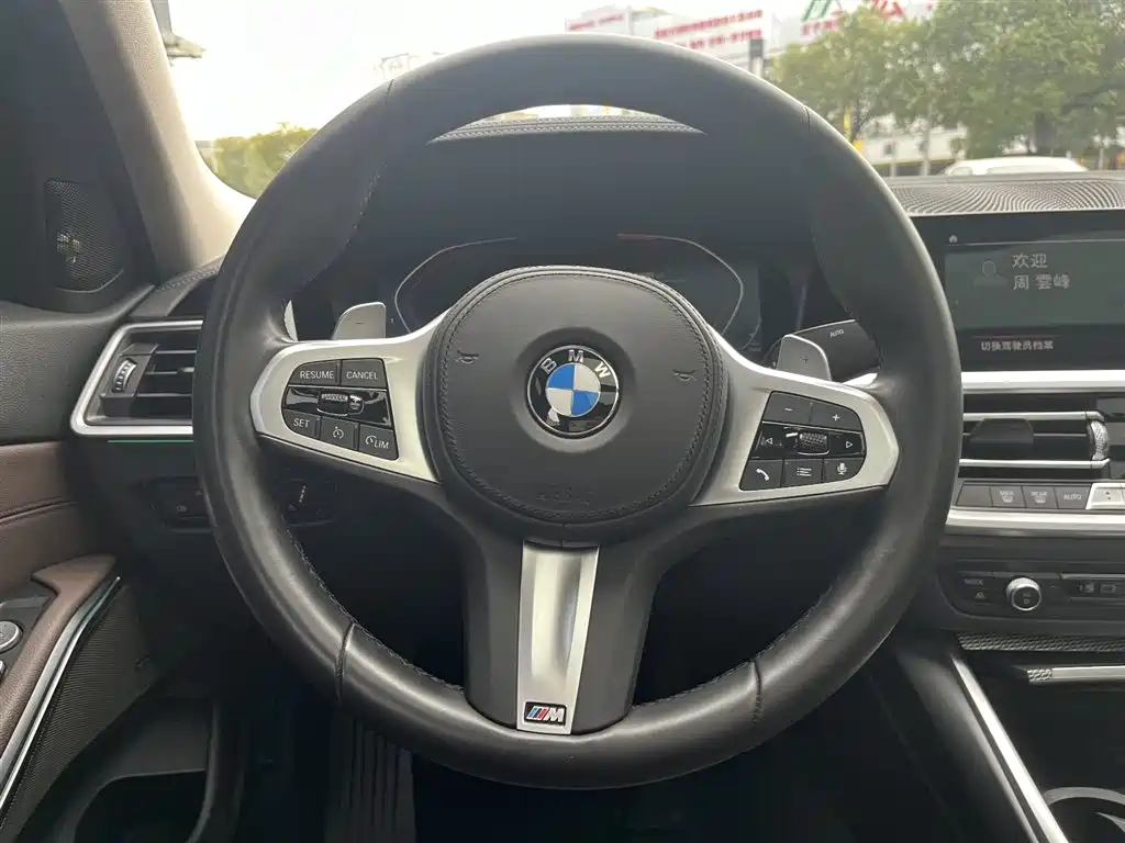 BMW 3 Series 2021 325Li M Sport Night Edition фото 24