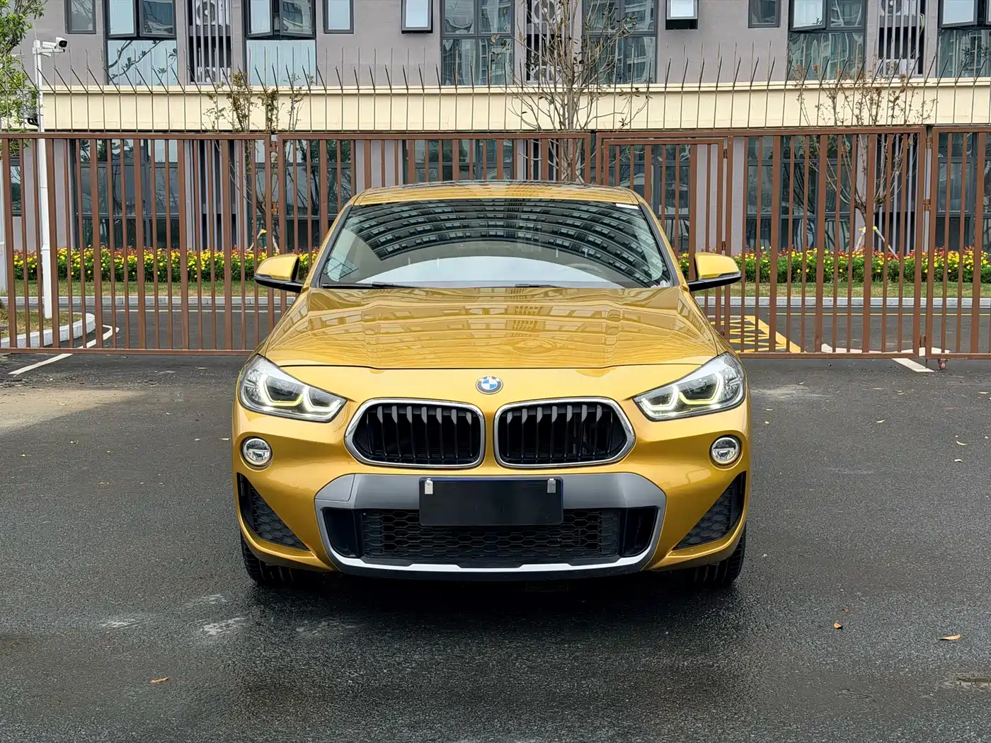BMW X2 (Import) 2019 sDrive20i M Off-Road Package China VI фото 2