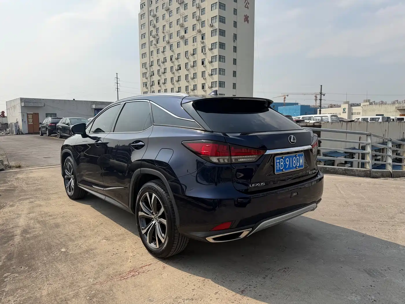 Lexus RX 2020 300 4WD Elegance Edition China VI фото 5