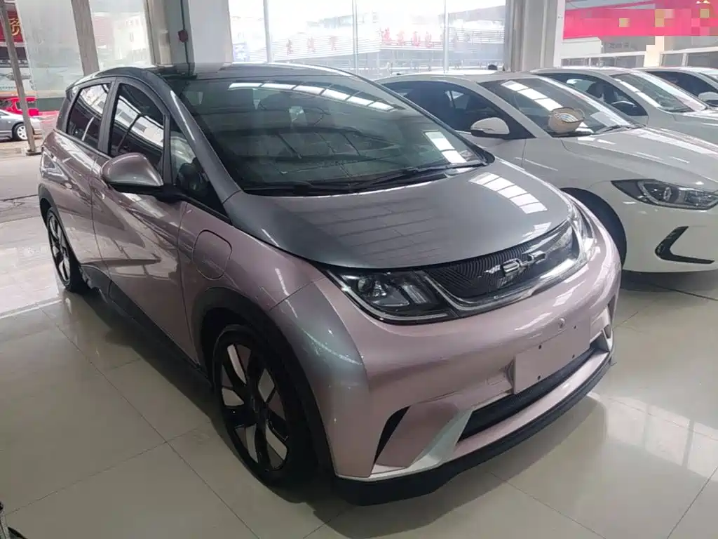 BYD Dolphin 2022 2021 401km Knight Edition