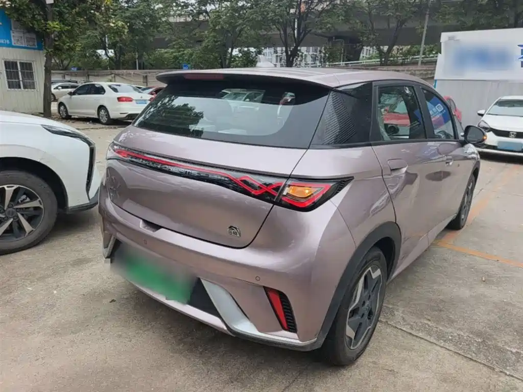 BYD Dolphin 2021 Model 405km Fashion Edition фото 7