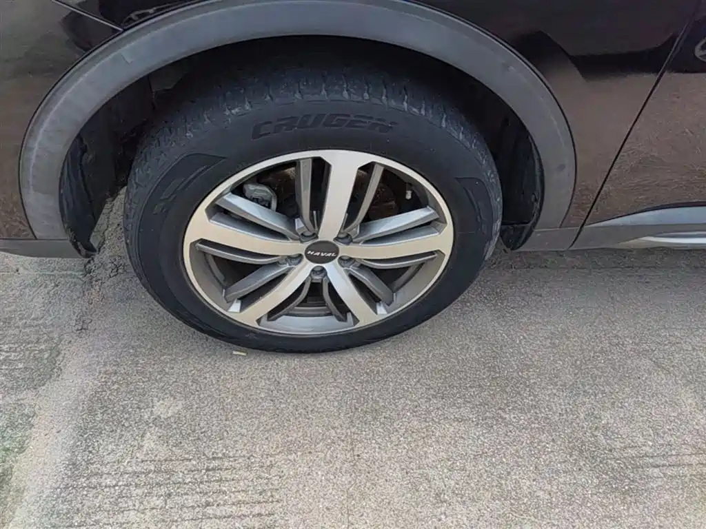 Haval H6 2019 1.5GDIT Automatic Champion Edition China VI фото 23