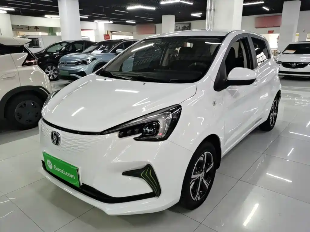 Changan Benben E-Star 2020 2020 Heartbeat Edition (NMC Battery)