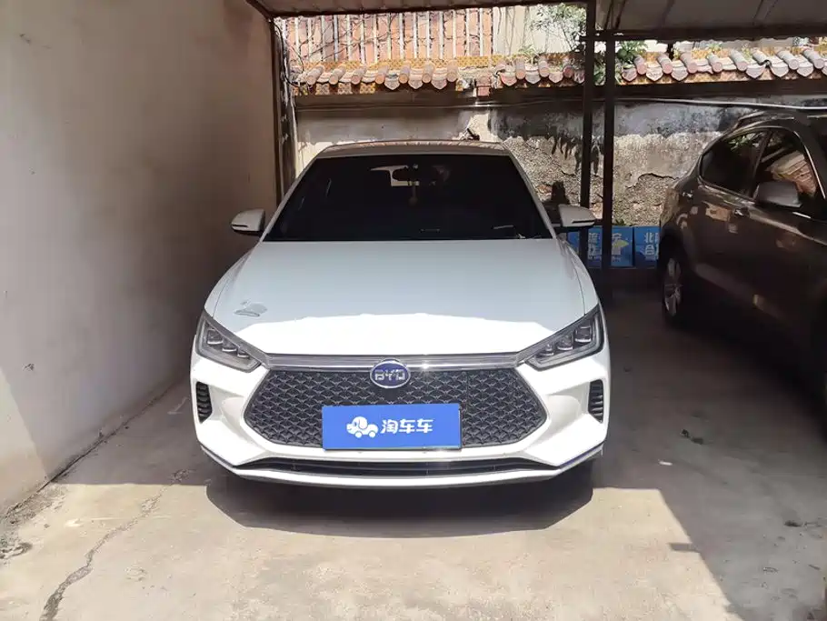 BYD e2 2020 2020 Upgrade Standard Range Standard Model