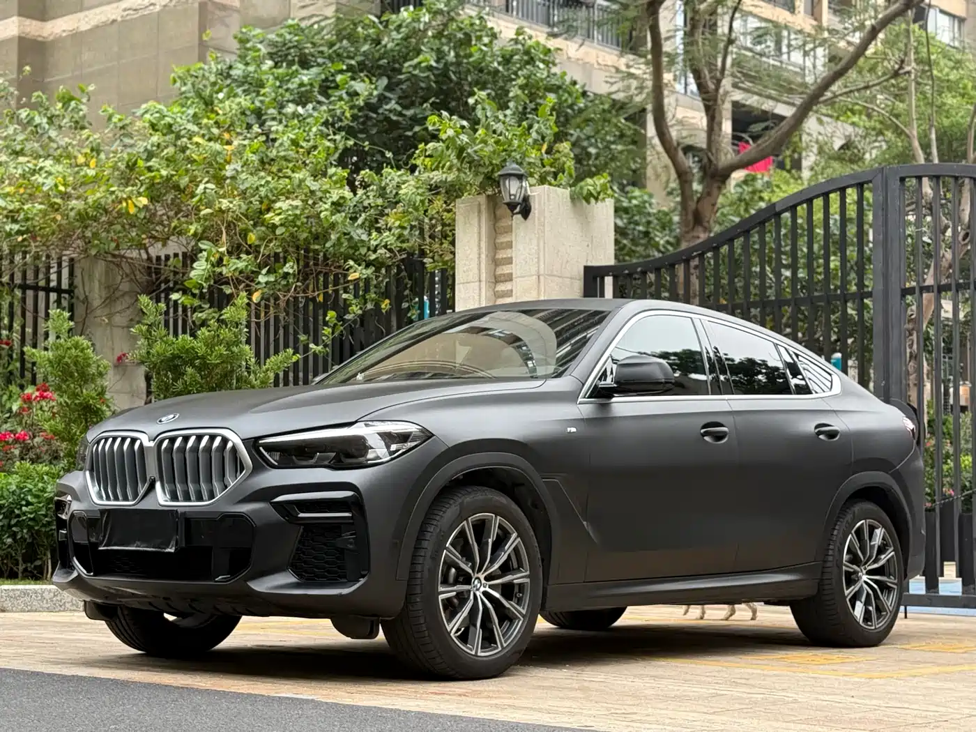 BMW X6