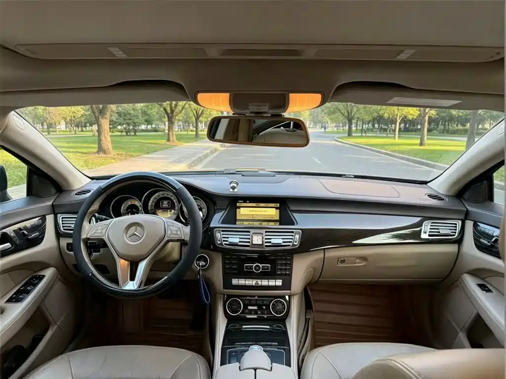 Mercedes-Benz CLS 2012 CLS 300 CGI фото 6