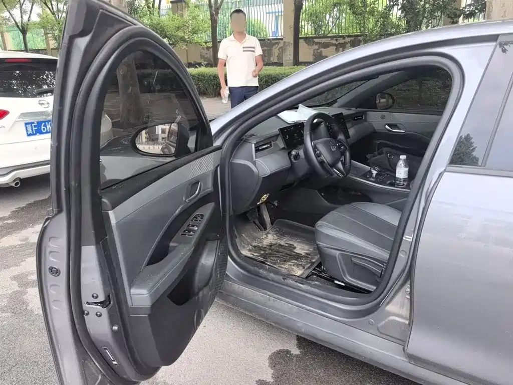 BYD Qin PLUS 2025 DM-i Smart Drive 55KM Leader фото 12
