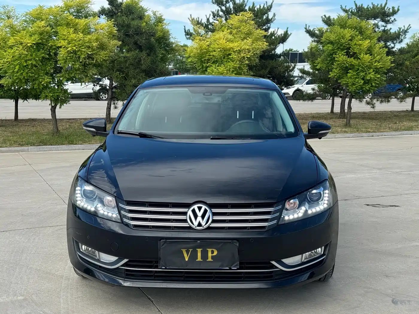 Volkswagen Passat 2013 2.0TSI DSG Yuzun фото 2