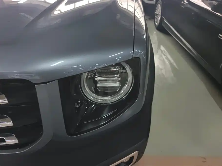 Haval Big Dog 2021 1.5T DCT 2WD Border Collie Edition фото 5