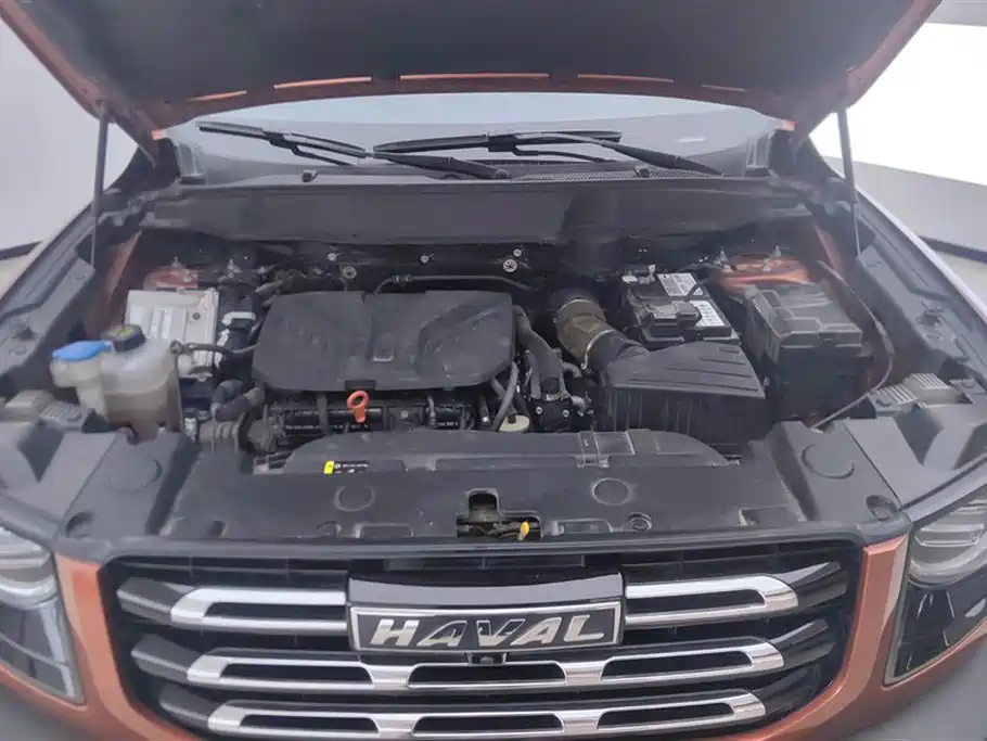 Haval Big Dog 2021 2.0T DCT 2WD Chinese Hound Edition фото 10