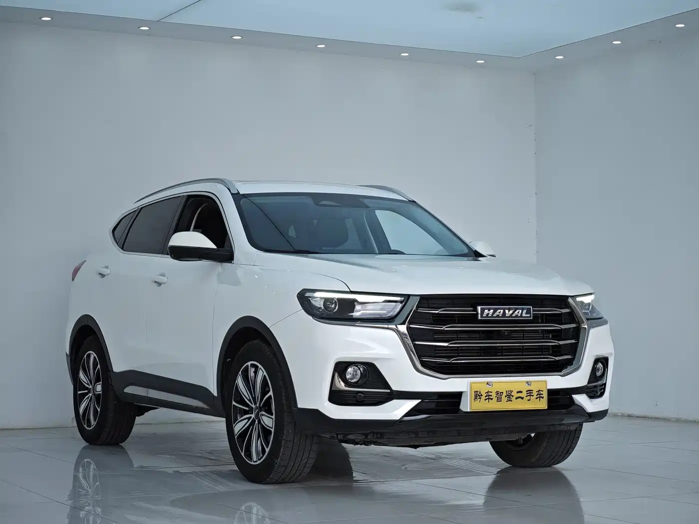 Haval H6 2023 National Trend Edition 1.5T Automatic Champion фото 3