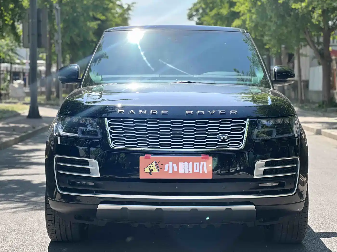Land Rover Range Rover 2013 5.0 SC V8 Vogue SE фото 3