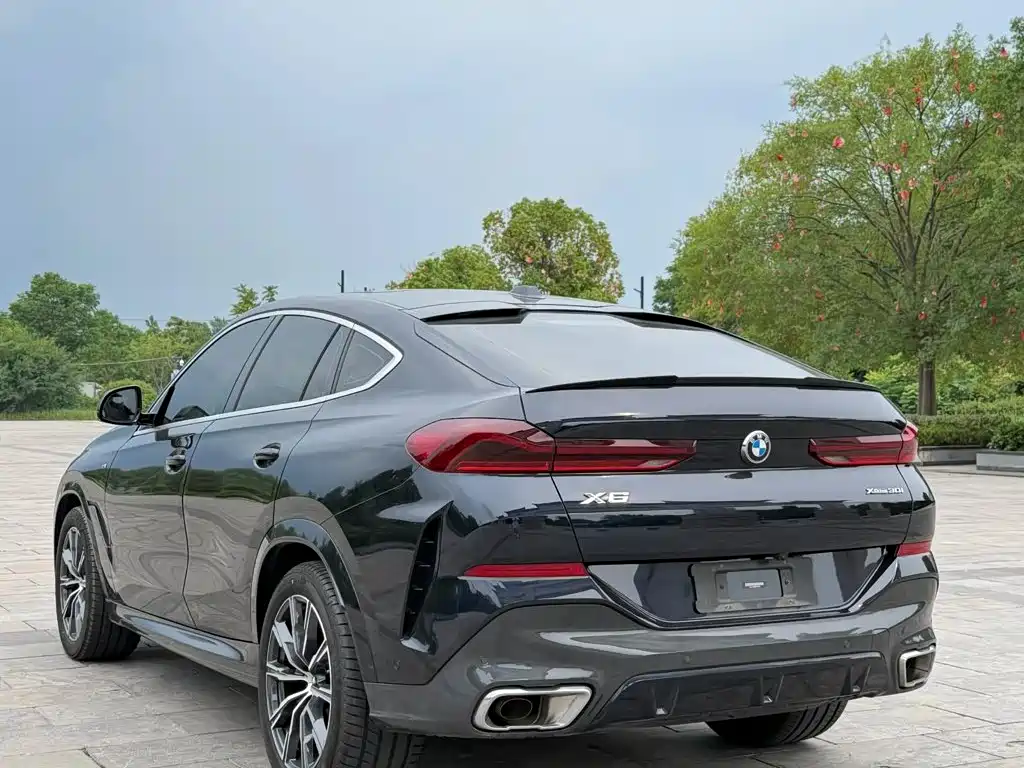 Photo 7 - BMW X6